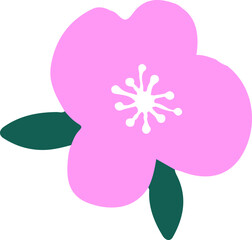 꽃