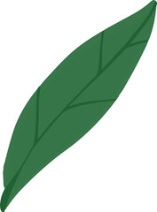 나뭇잎
