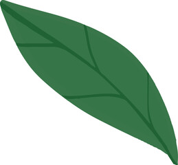 나뭇잎