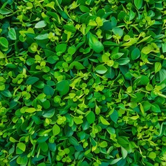 Obraz premium Lush green foliage background texture