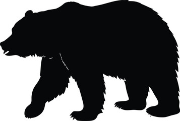 Bear silhouette, walking pose, wildlife vector