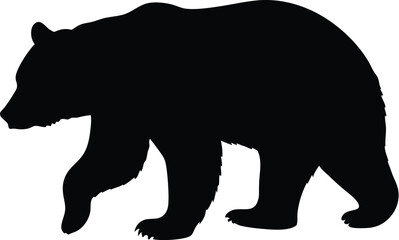 Bear silhouette, walking pose, wildlife vector