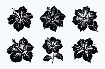 Hibiscus flower silhouette, Hibiscus flower set, botanical bloom vector, tropical plant icon © Silhouettify