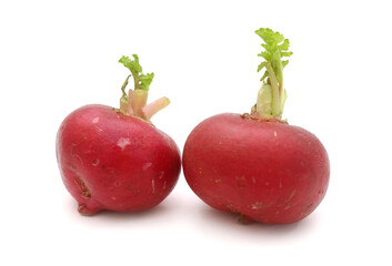 Fresh radish