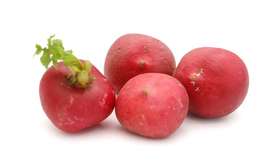 Radish (Raphanus sativus var. sativus), cut open