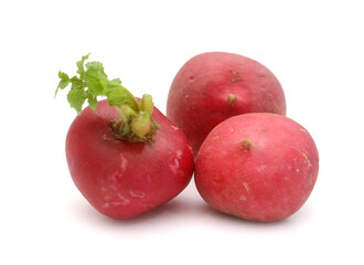 Close-up of radish over white background,Moldova