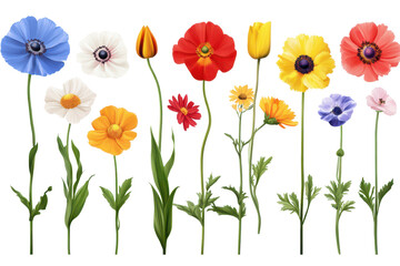 Obraz premium Collection of vibrant grunge oil painted summer flowers in various colors standing tall against a light backdrop