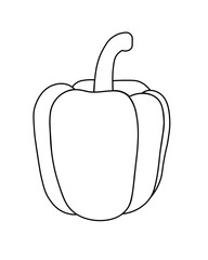 Vector line illustration of a bell pepper