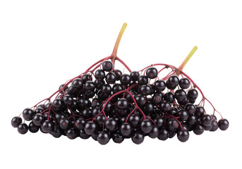 Elderberries: Abundant Clusters of Dark Berries on white background