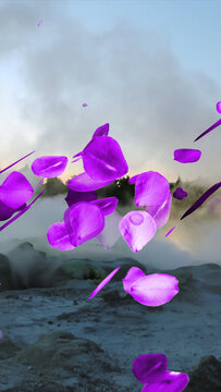 Rose Petals 2 Styles Vertical Transitions 1 MOGRT 440