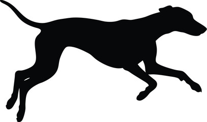 Fototapeta premium dog silhouette, running posture, black vector