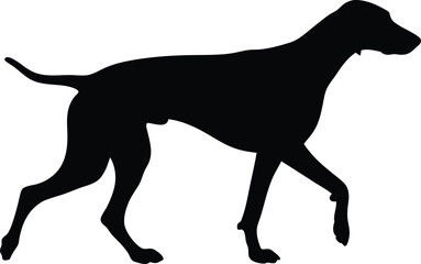 dog silhouette, running posture, black vector
