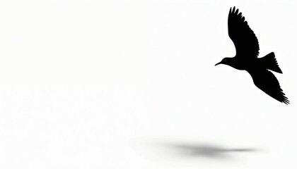 Silhouette of bird flight against white background. Image nature, freedom. Black bird spreads wings in air, with shadow, minimal style. Symbol of peace, movement, lightness. Ideal for design,