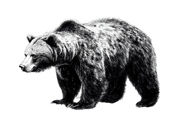 Fototapeta premium Grizzly bear sketch showcasing intricate details and strong presence in a natural setting with a focus on its side profile and unique fur textures