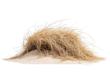 Tumbleweed rolls across the open desert landscape under the bright sun showcasing its natural movement and the arid environment