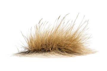 Obraz premium Tumbleweed rolls across an expansive desert landscape under a clear blue sky during a sunny afternoon