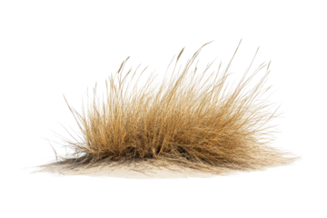 Tumbleweed rolls across an expansive desert landscape under a clear blue sky during a sunny afternoon