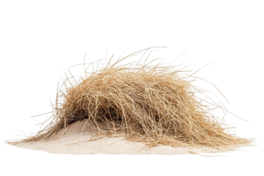 Tumbleweed rolls across the open desert landscape under the bright sun showcasing its natural movement and the arid environment