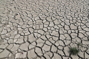 a dried-up river, cracked ground