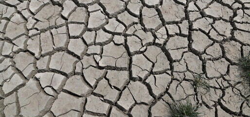 a dried-up river, cracked ground