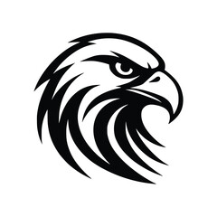 eagle head vector illustration