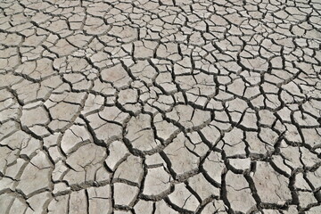 a dried-up river, cracked ground