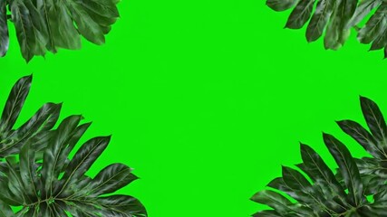 A tropical leaves with green screen - Powered by Adobe