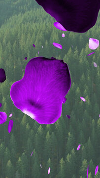 Rose Petals 2 Styles Vertical Transitions 2 MOGRT 443