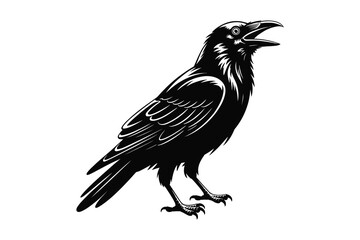Fototapeta premium Screaming Crow Bird Vector Artwork Illustration