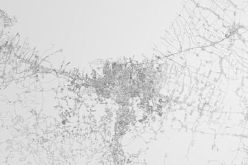 Map of the streets of Semarang (Indonesia) on white background. 3d render, illustration