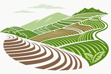 Create a bold, vector illustration of lush green rice terraces, emphasizing strong lines and dramatic depth.  Include detailed contours and vibrant color.