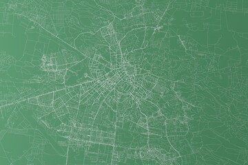Stylized map of the streets of Lviv (Ukraine) made with white lines on green background. Top view. 3d render, illustration