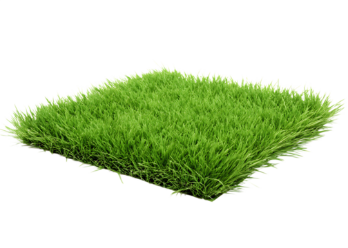 Lush green grass patch isolated on a white background png