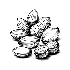Illustration of assorted nuts including peanuts and almonds