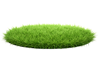 Lush green grass tuft isolated on a white background.PNG