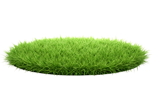 Lush green grass tuft isolated on a white background.PNG