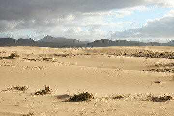 Parque Natural de las Dunas de Corralejo, Fuerteventura, Canary Islands, Spain