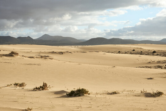 Parque Natural de las Dunas de Corralejo, Fuerteventura, Canary Islands, Spain