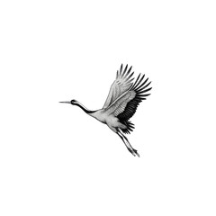 Fototapeta premium Elegant Crane in Flight A Hand-Drawn Illustration