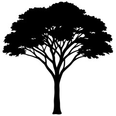 silhouette of tree