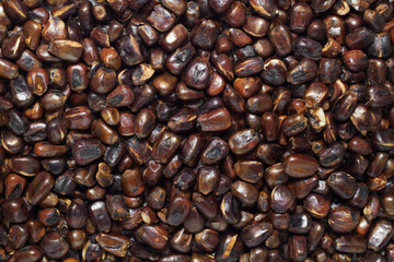 Roasted corn background