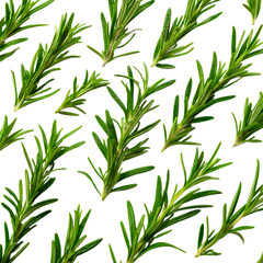 Fototapeta premium Fresh green rosemary sprigs arranged on a geometric pattern background for culinary and herbal design elements