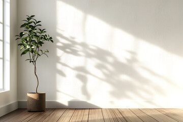 Minimal Tree Shadow on Wall in Morning Sunlight
