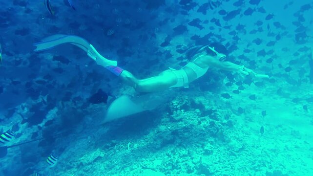 Underwater Tropical with young woman freediver. Marine life sea world as String Rays and School of fish swimming under water world