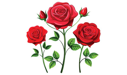 Three red roses with buds and green leaves