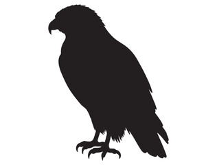 HAWK BIRD SILHOUETTE