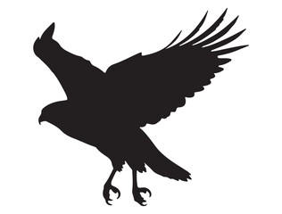 HAWK BIRD SILHOUETTE