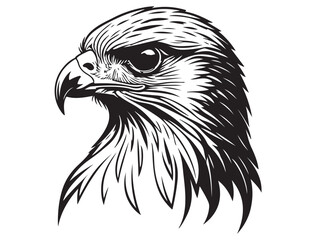 HAWK BIRD SILHOUETTE