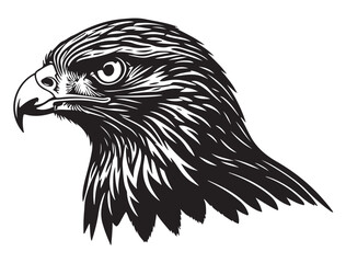 HAWK BIRD SILHOUETTE