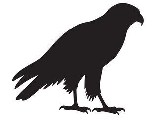 HAWK BIRD SILHOUETTE